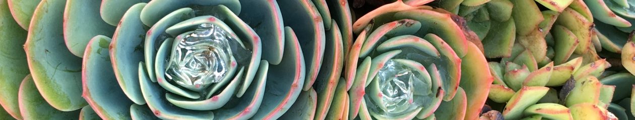 Artichokes and Abalone