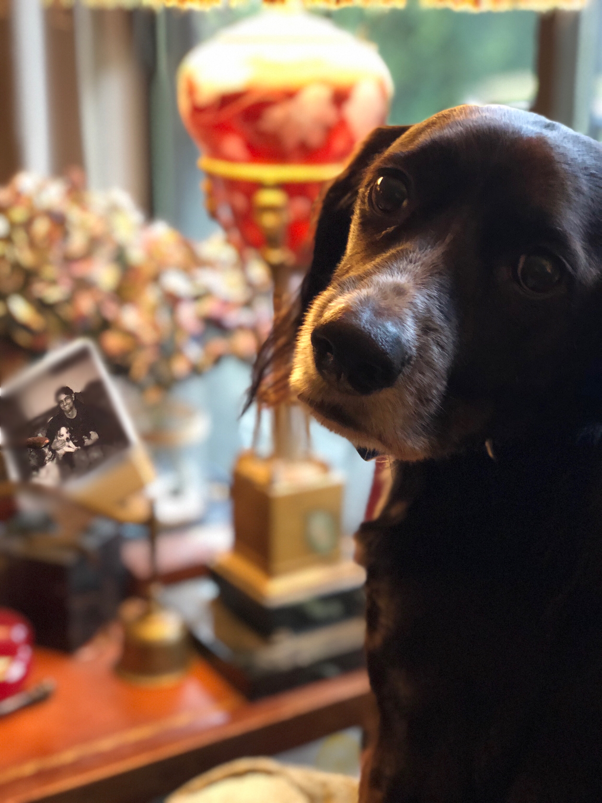 Jerry berry boo remembers 